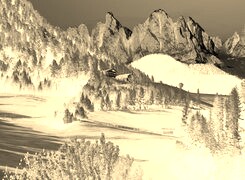 Sepia + Negatyw