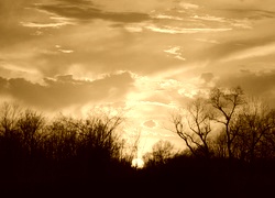 Sepia