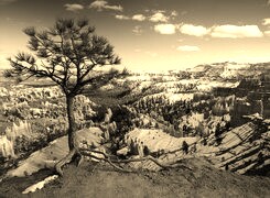 Szary + Sepia