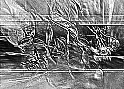 Skamielina