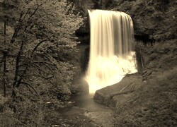 Sepia