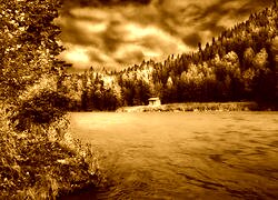 Sepia