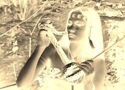 Sepia + Negatyw