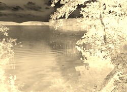 Sepia + Negatyw
