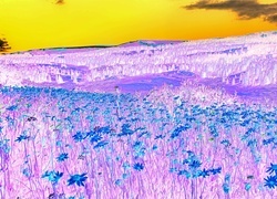 Negatyw