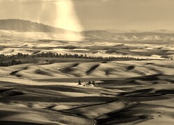 Szary + Sepia