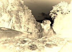 Sepia + Negatyw