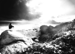 Szary + Sepia
