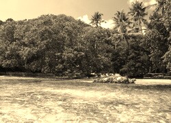 Szary + Sepia