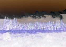 Negatyw