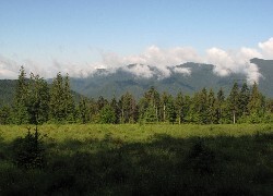 Oryginalny obrazek