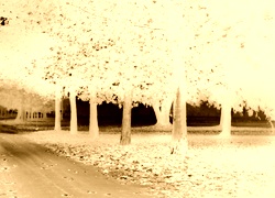 Sepia + Negatyw