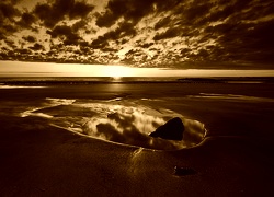 Sepia