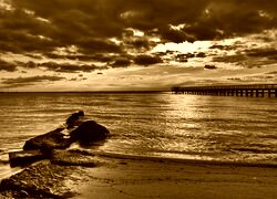 Sepia