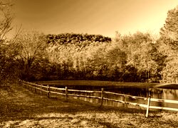 Sepia