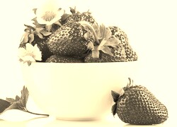 Szary + Sepia