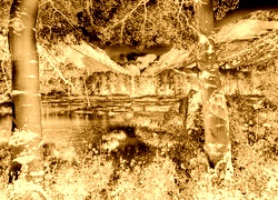 Sepia + Negatyw