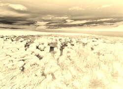 Sepia + Negatyw