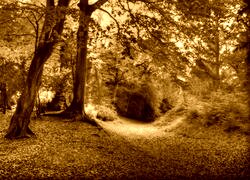 Sepia