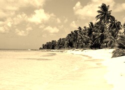 Szary + Sepia