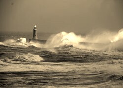 Szary + Sepia