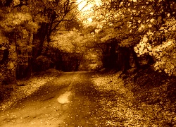 Sepia