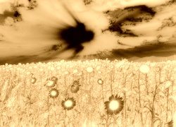 Sepia + Negatyw