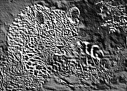 Skamielina