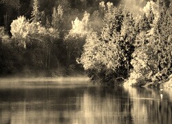 Szary + Sepia