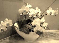Sepia