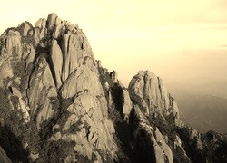 Szary + Sepia