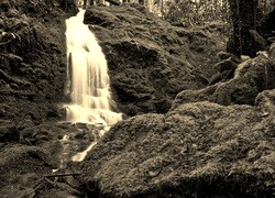 Szary + Sepia