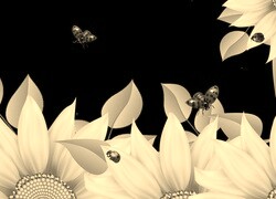 Szary + Sepia
