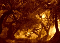 Sepia