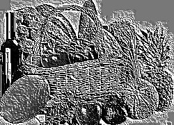 Skamielina