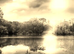 Sepia