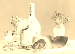 Sepia + Negatyw