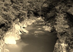 Szary + Sepia