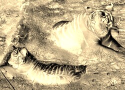 Sepia + Negatyw