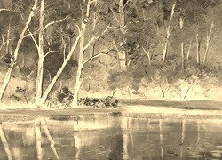 Sepia + Negatyw
