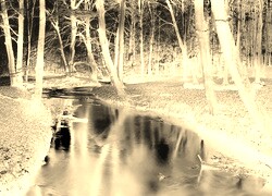Sepia + Negatyw