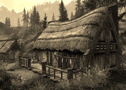 Szary + Sepia