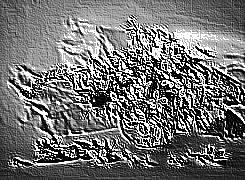 Skamielina