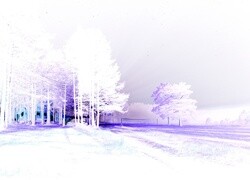 Negatyw