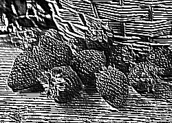 Skamielina