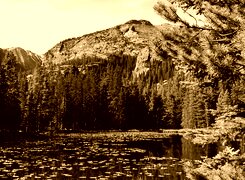 Sepia