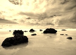 Szary + Sepia