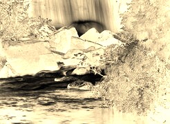 Sepia + Negatyw