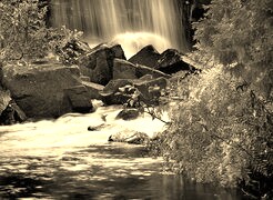 Sepia