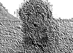 Skamielina